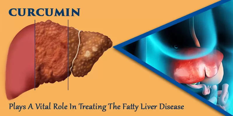 Say NO To Fatty Liver Now With Curcumin