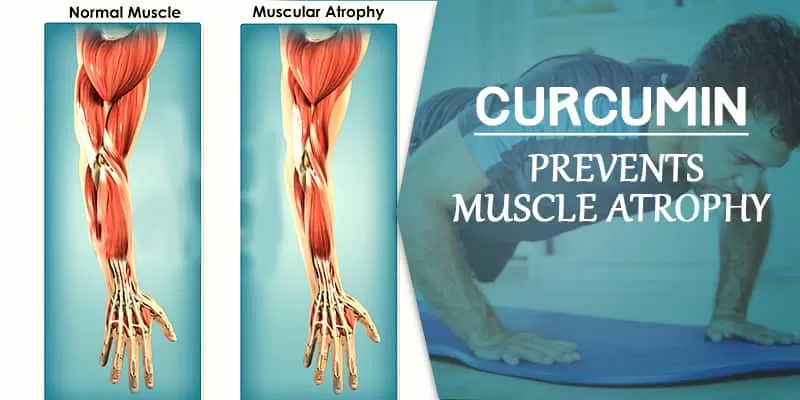 Get Stronger Muscles With Curcumin Naturally