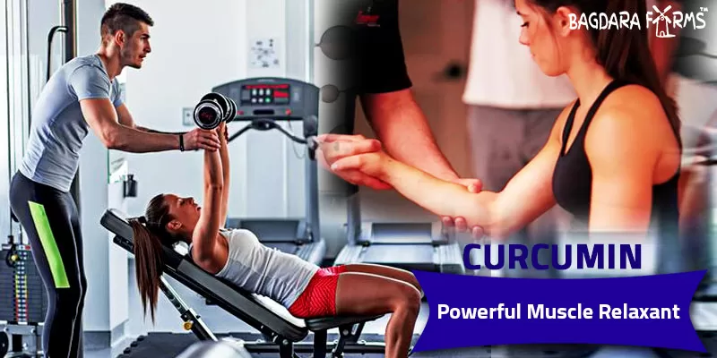 For All The Gym Enthusiasts, Sportyheal Is The Best Supplement