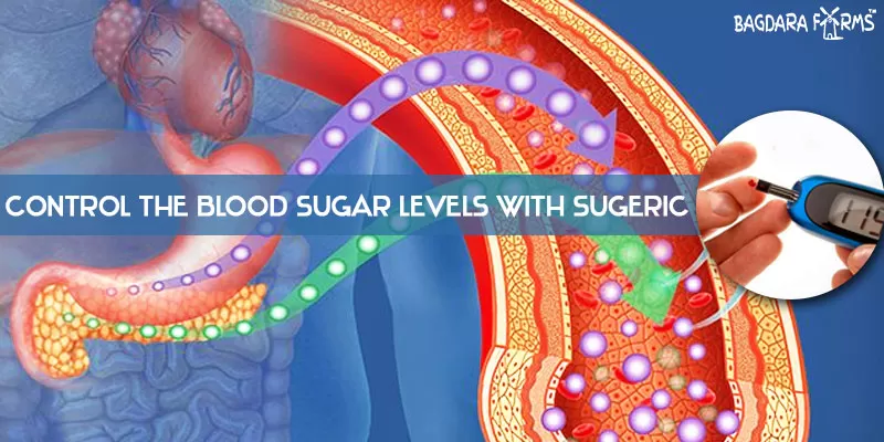 If you have Hyperglycemia, Sugeric Will Help you