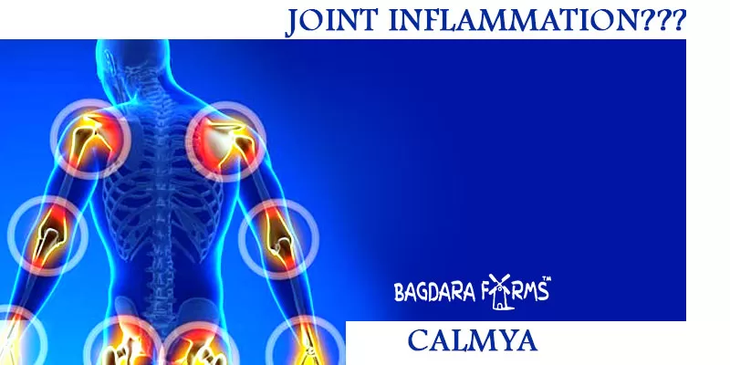 Rheumatoid Arthritis Cure with Curcumin