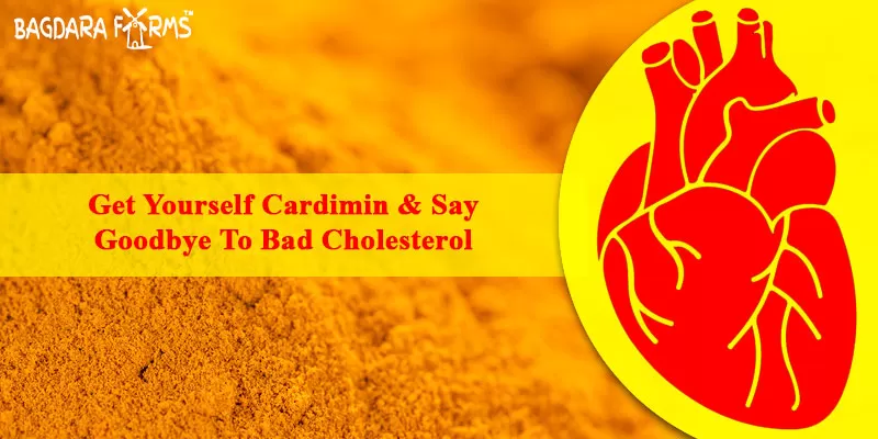 Curcumin is Your Best Friend in Managing Cholesterol
