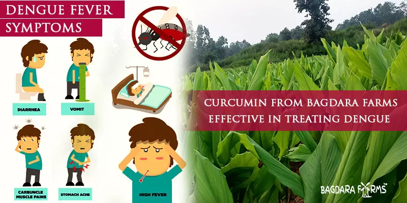 prevent dengue with immunoturm