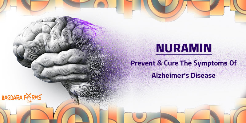 Cure Alzheimer’s Disease with Nuramin