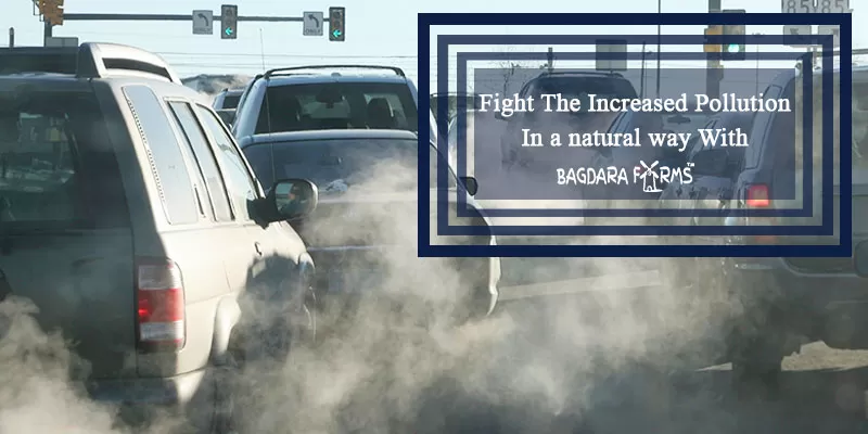 What Care Are You Taking For The Rising Pollution Levels?
