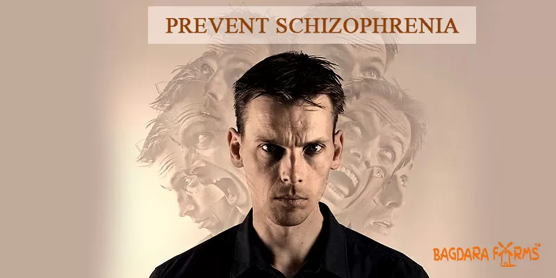 Schizophrenia Treatment with Curcumin Enriched Supplements