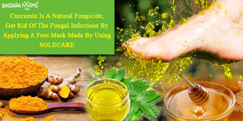 foot and nail fungus cure with solecare