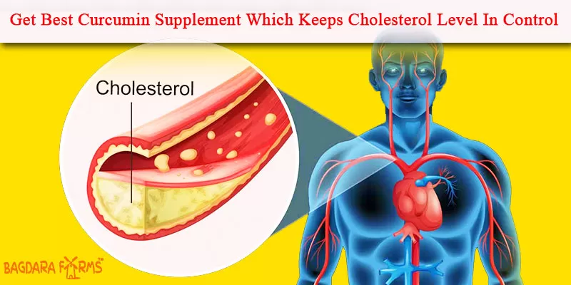 Maintain Your Cholesterol Level With Curcumin