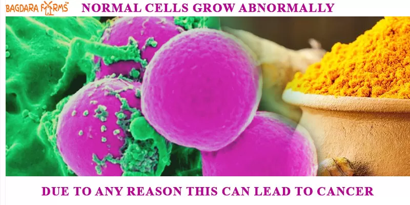 Curcumin supplements for Cancer
