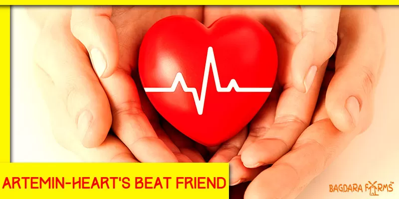 Take Care of Your Heart With Curcumin