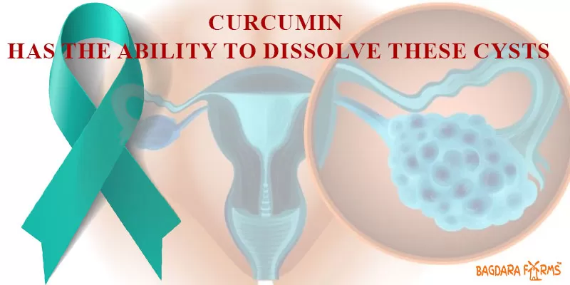 Beat Ovarian Cancer with Curcumin