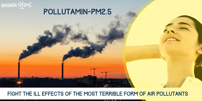 Pollutamin-PM2.5 for air pollution