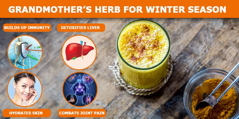 Grandmother’s Herb for Winter Season: Turmeric