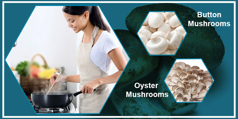 Mushrooms health benefits