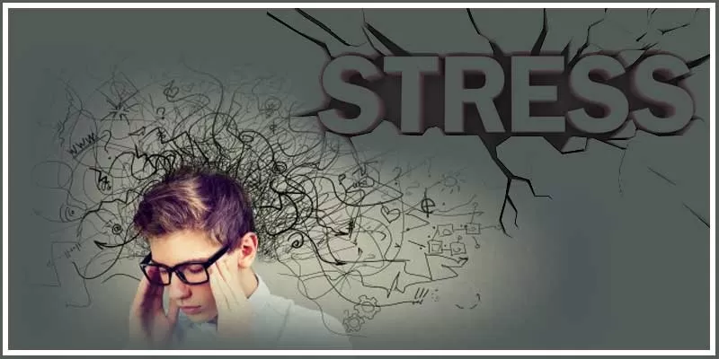 Battling Chronic Stress With Curcumin