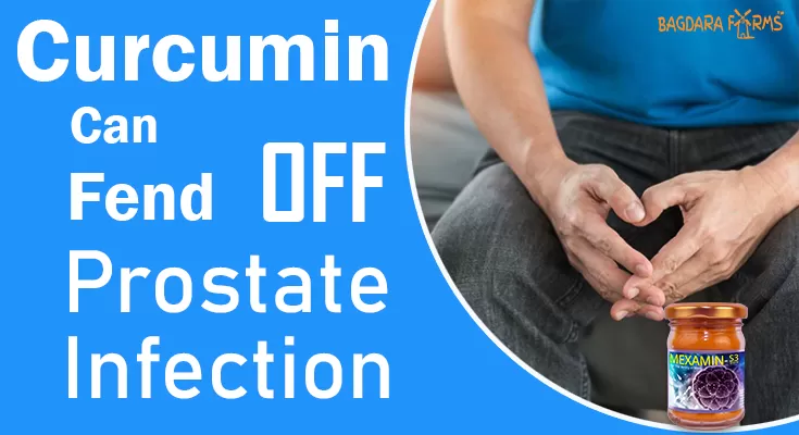 CURCUMIN CAN FEND OFF PROSTATE INFECTION