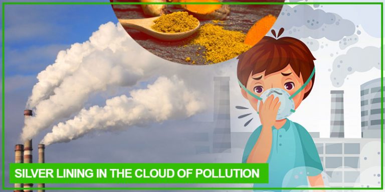 POLLUTAMIN-PM2.5: SILVER LINING IN THE CLOUD OF POLLUTION