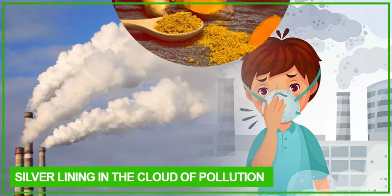 air pollution