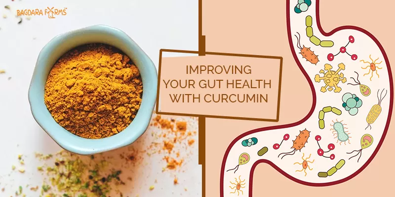 gut health
