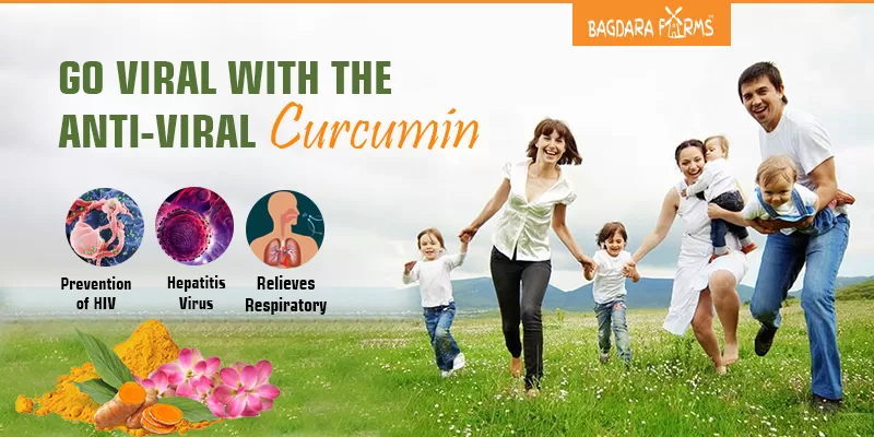 Curcumin can be used for viral fiver to  Dengue, Hepatitis B
