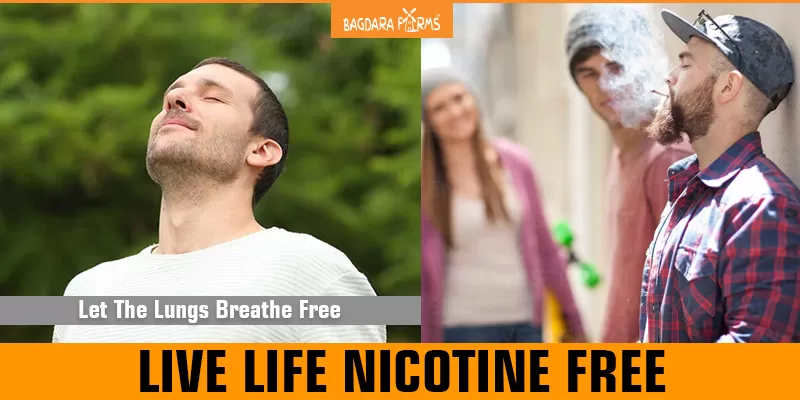 LIVE LIFE NICOTINE FREE