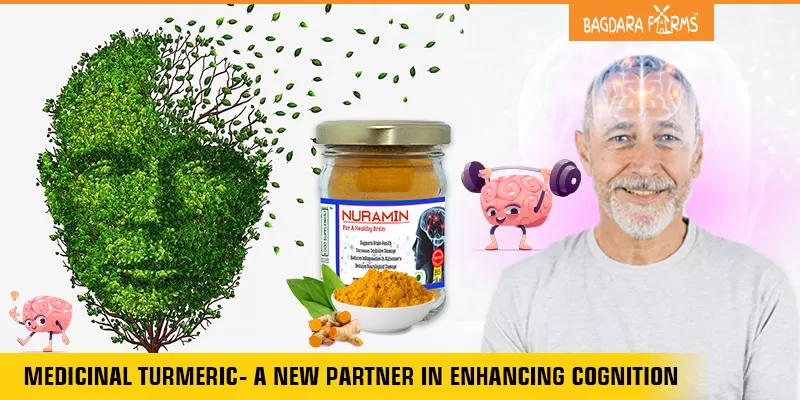 How curcumin is “THE” solution for Alzheimer’s
