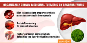  medicinal turmeric , lungs , detoxification , turmeric and lung inflammation