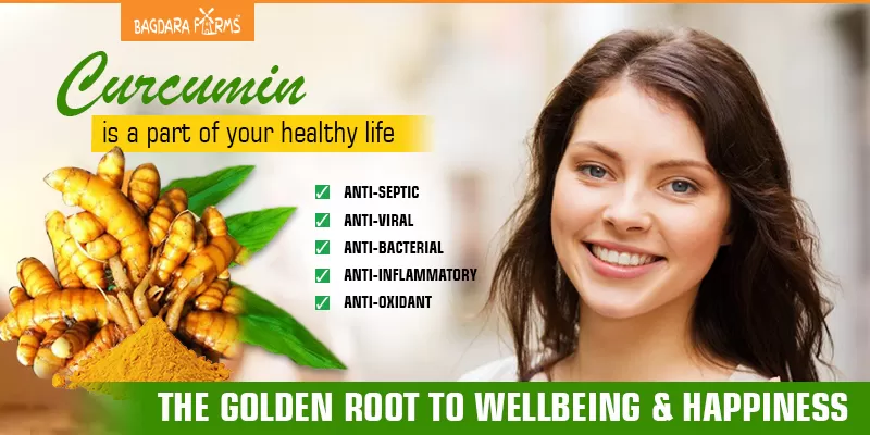 THE GOLDEN ROOT TO WELLBEING AND HAPPINESS
