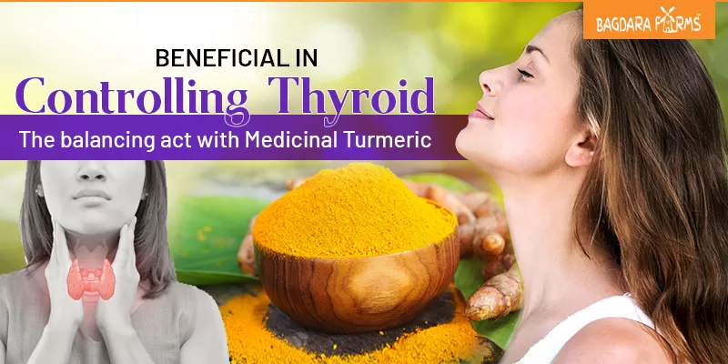 Controlling Thyroid with Medicinal Turmeric