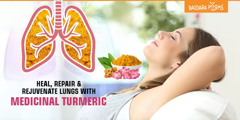 Gain your lung health with curcumin