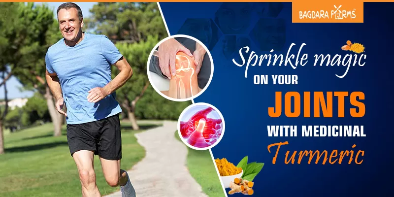 Solution of Osteoarthritis in the form of Calmya