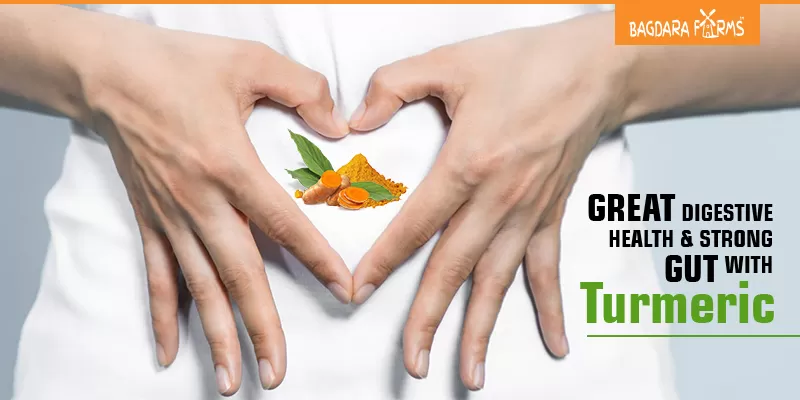 Tummyric for gut microbioma , gut bacteria and mental health , polyphenols , irritable bowel syndrome