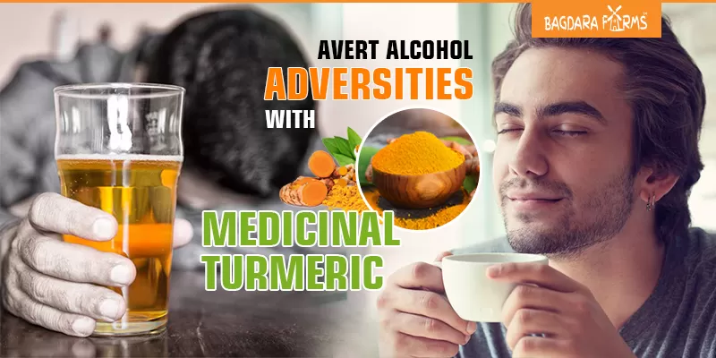 MEDICINAL TURMERIC , Alcohol Cardiomyopathy , Alcohol Affect on Liver with Alchorid