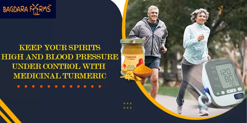 Science to manage your blood pressure with curcumin
