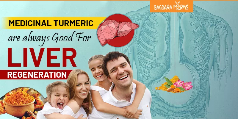 Liver Regeneration is possible