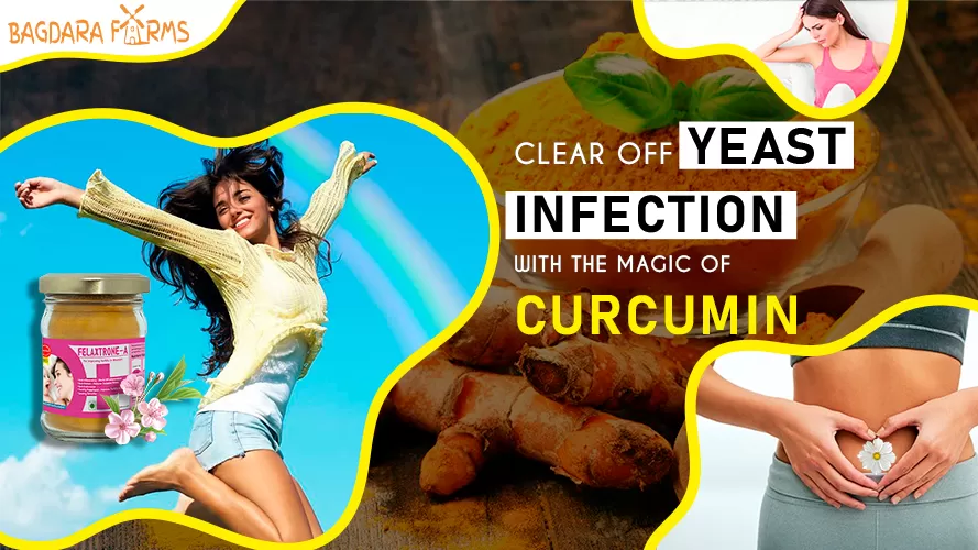 Never get Yeast Infection again use curcumin