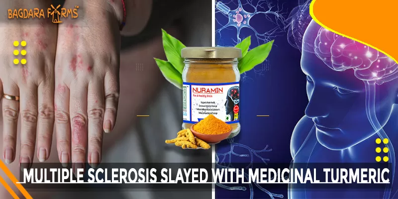 Multiple Sclerosis Slayed With Nuramin
