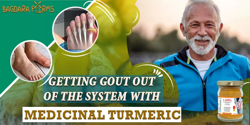 GETTING GOUT OUT OF THE SYSTEM WITH MEDICINAL TURMERIC