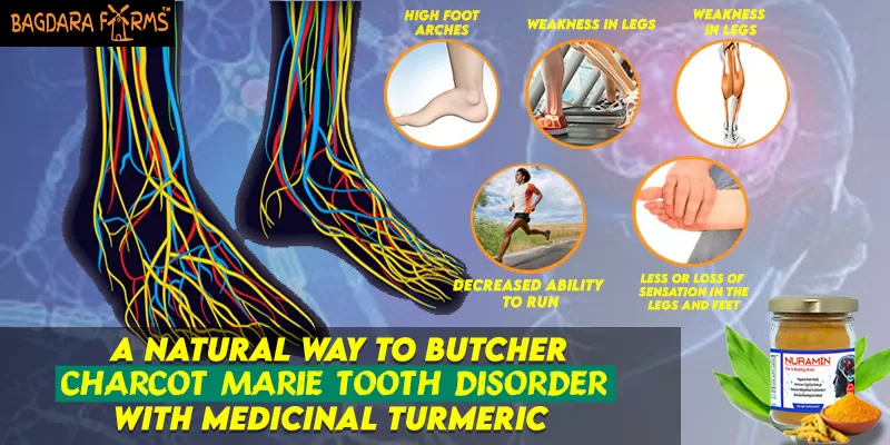 Know how to control the common cause of Cervical Cancer
