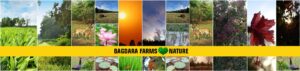 Bagdara Farms Bandhavgarh nature