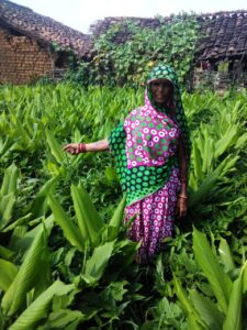 Alt text: Badki Baiga, a lady turmeric farmer at Bagdara Farms, stands amidst her turmeric farm. She is wearing a green saree and a hat, and is holding a basket of freshly harvested turmeric. The lush greenery of the farm can be seen in the background, with rows of turmeric plants stretching out into the distance.