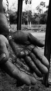 Hands covered in soil and plant matter after working on an organic natural farm at Bagdara Farms in Bandhavgarh.