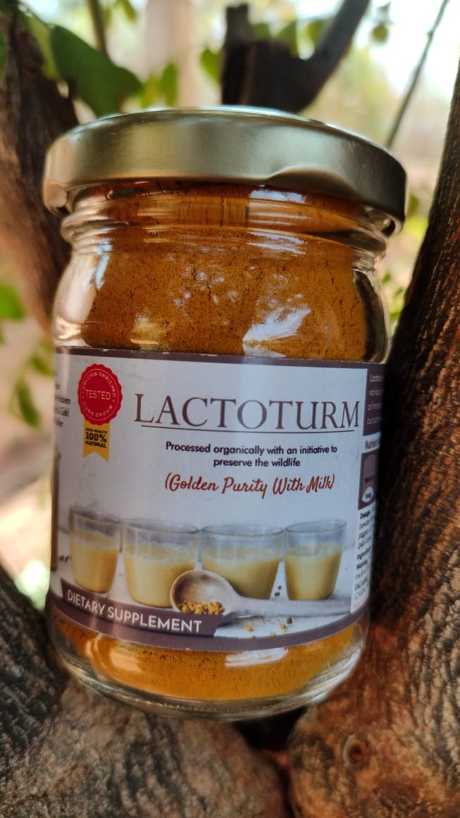 An image of a bottle of Lactoturm, a turmeric-based dietary supplement for children. The label shows the brand name, with a tagline 'Golden Purity with Milk' and mentions the Bagdara Farms logo