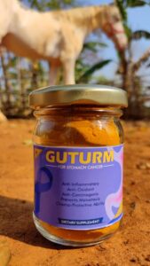Guturm, a natural dietary supplement made from pure root turmeric, grown and harvested at Bagdara Farms in the heart of Bandhavgarh Tiger Reserve, Madhya Pradesh. Guturm supports stomach health and aids in stomach cancer prevention
