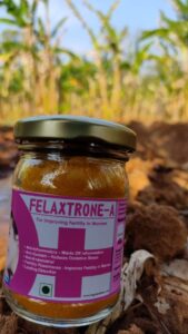 Bottle of Felaxtrone-A supplement with turmeric roots and spices.
