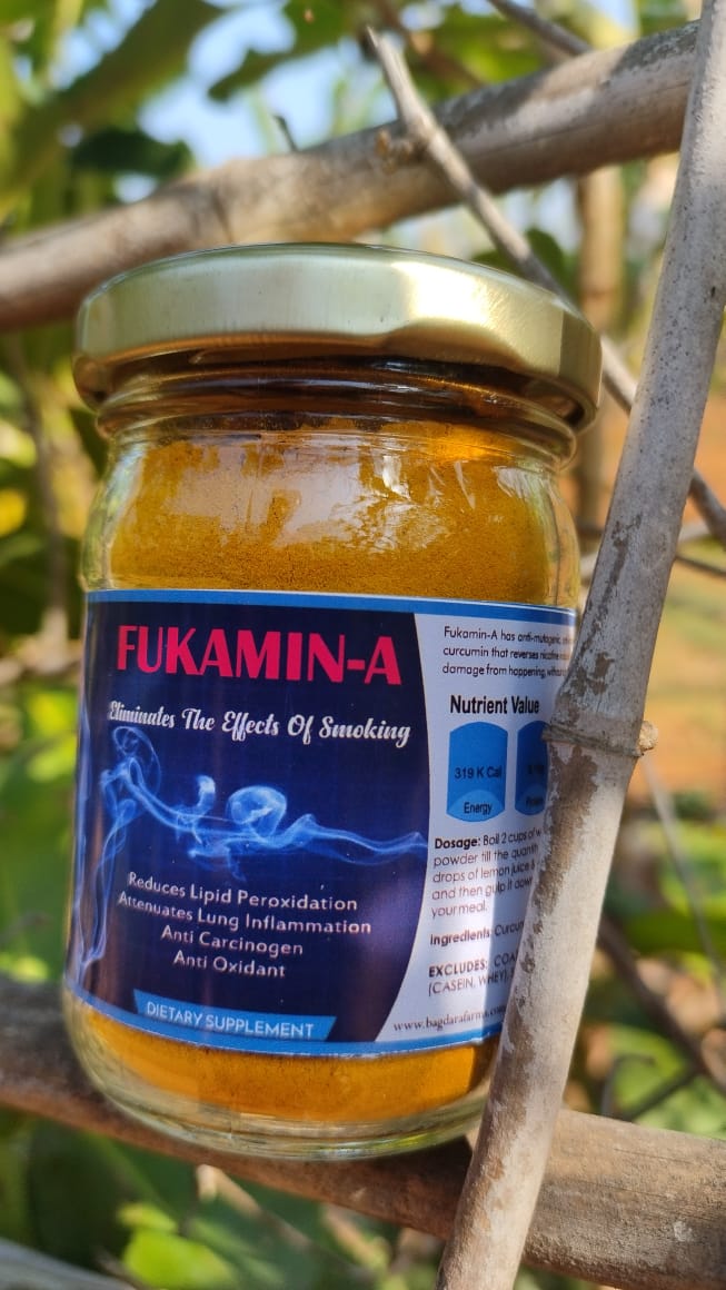 Bottle of Fukamin-A dietary supplement with turmeric extract.