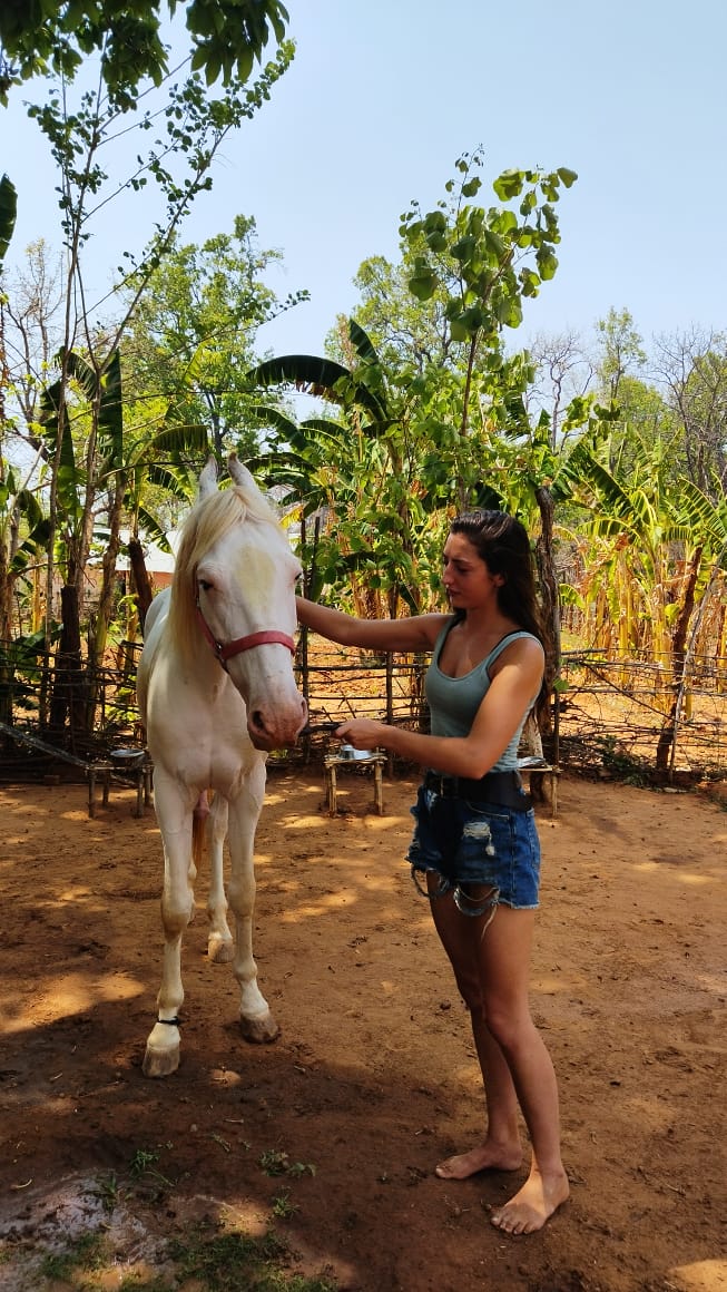 Jazmin Walsh from the UK with Bhura the Indian Horse at Bagdara Farms, with the "Amsterdam Cafe" in the background.