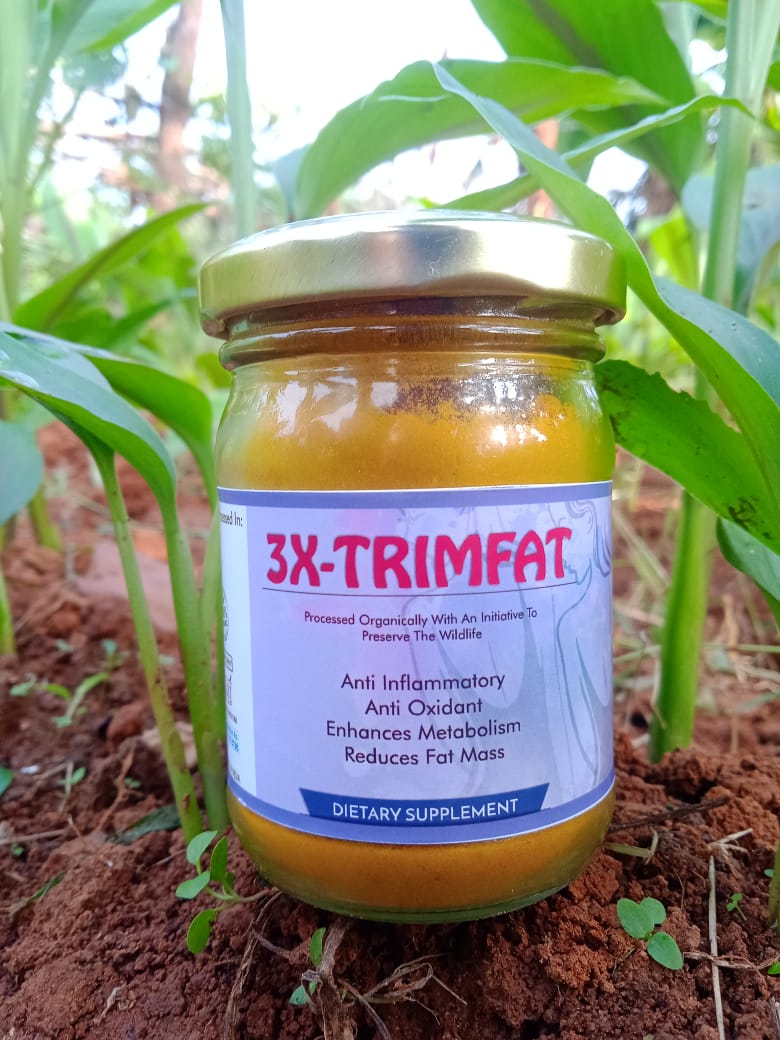A bottle of 3x Trimfact, a turmeric-based supplement for weight loss, by Bagdara Farms