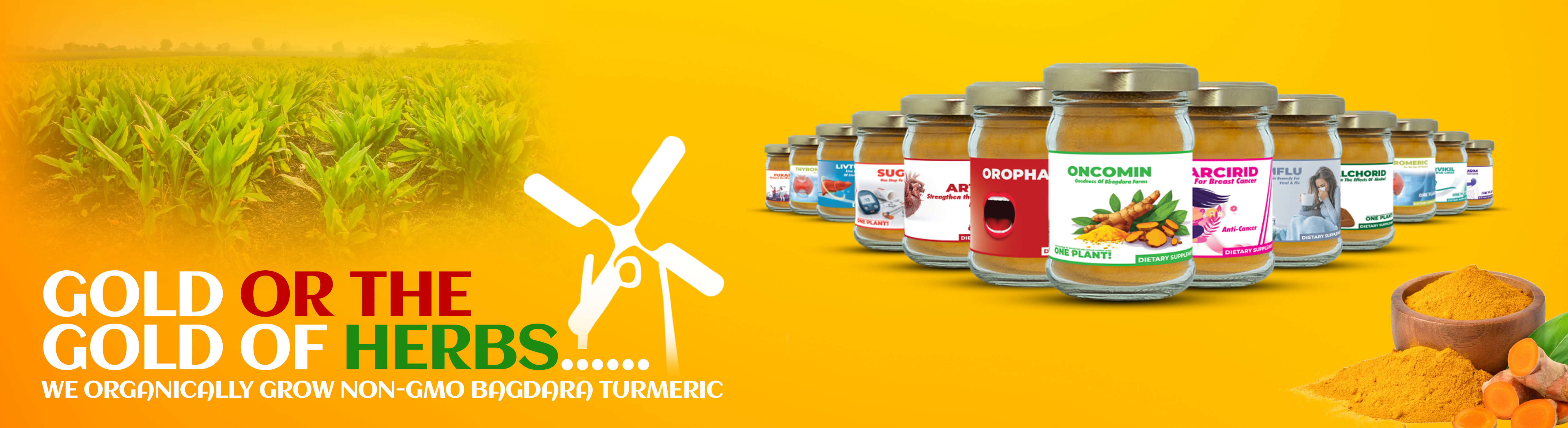 Slider home, turmeric, curcumin